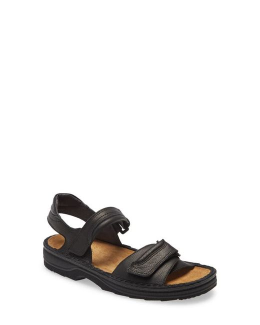 Naot Lappland Sandal in at