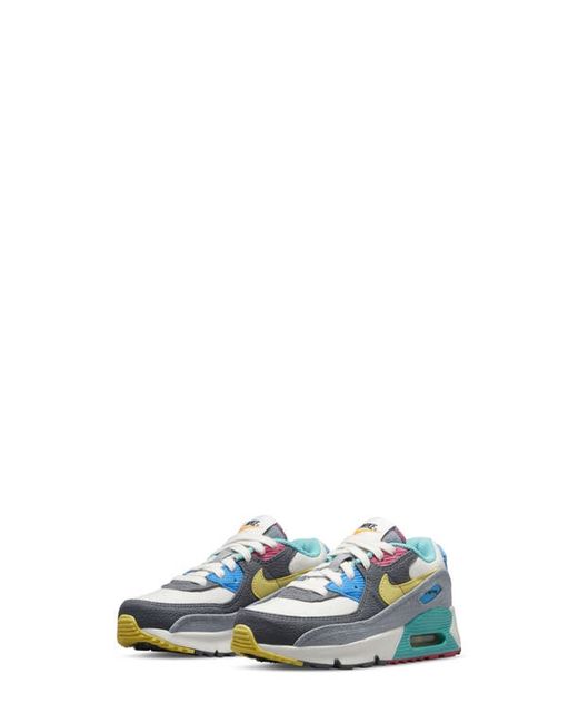 Nike Air Max 90 Sneaker in Phantom/Celery Grey at