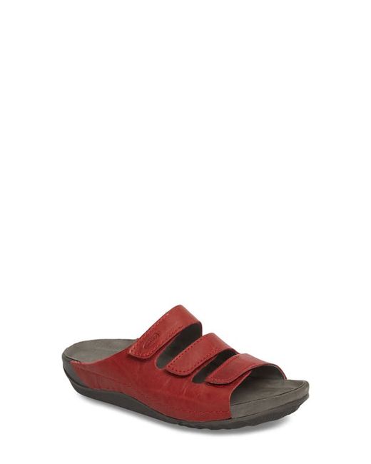 Wolky Nomad Slide Sandal in Leather at