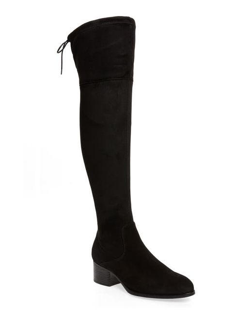 Bos. & Co. Bos. Co. Rewind Waterproof Over the Knee Boot in Suede/Micro Stretch at