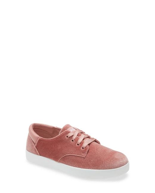 Alegria by PG Lite Alegria Poly Sneaker in at