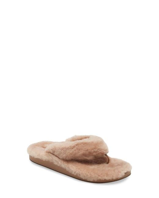 OluKai Kipea Heu Genuine Shearling Slide Sandal in Tan/Tan at