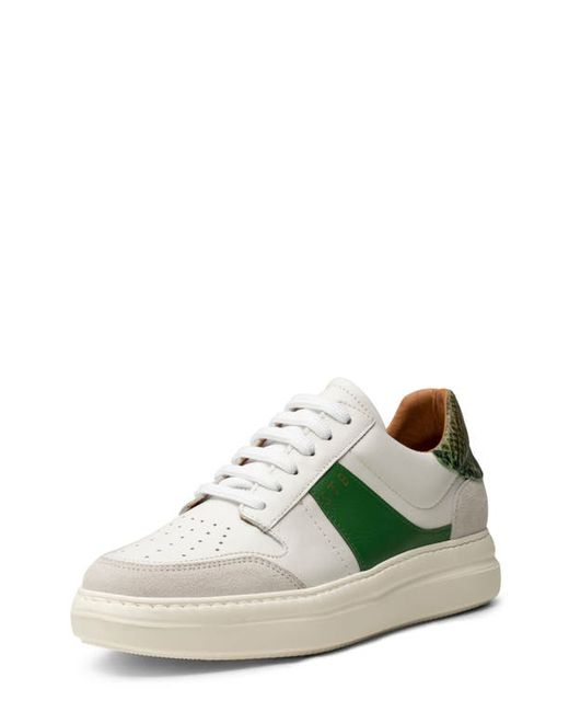 Shoe the Bear Valda Lace-Up Leather Suede Sneaker in White/Green Multi at