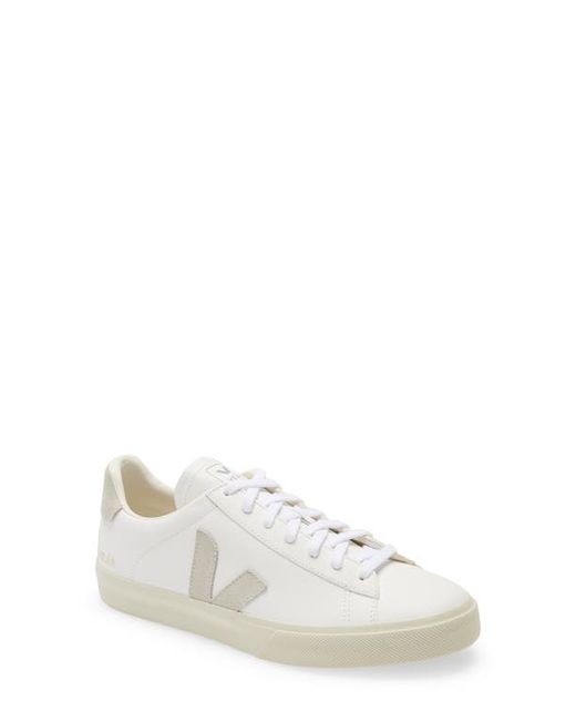 Veja Campo Sneaker in Extra Natural at