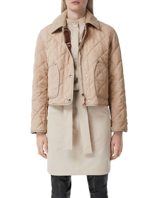 Burberry Lanford Corduroy Collar Quilted Jacket in at