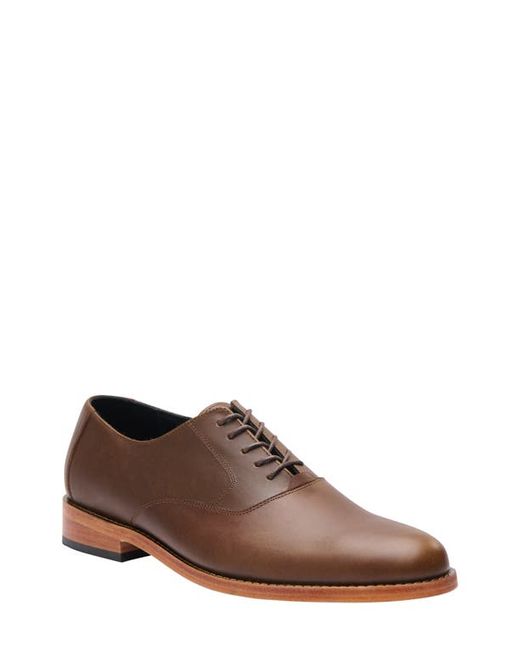 Nisolo Everyday Oxford in at