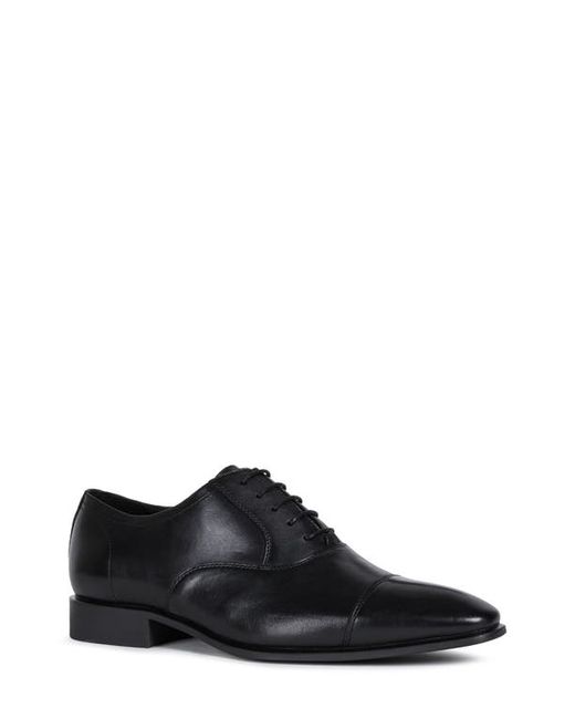 Geox High Life Cap Toe Oxford in at