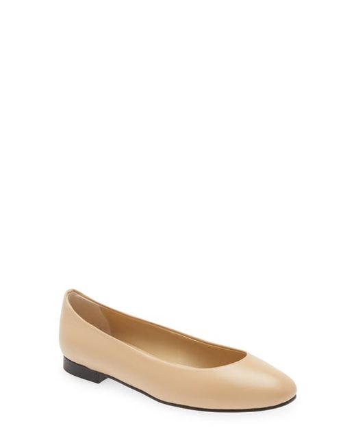 andrea carrano Leather Ballet Flat in at