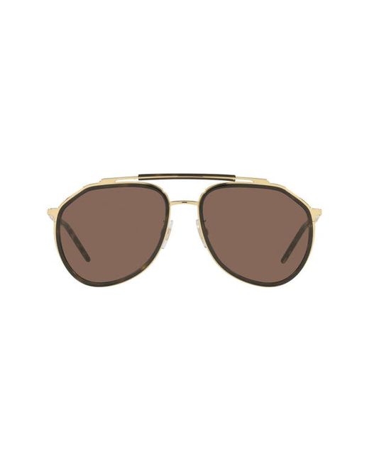 Dolce & Gabbana 57mm Aviator Sunglasses in Gold/Havana/Dark at