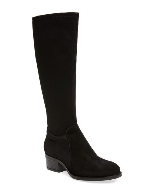 Bos. & Co. Bos. Co. Java Waterproof Tall Boot in Suede/Micro Stretch at