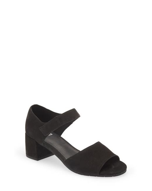 Eileen Fisher Fey Ankle Strap Sandal in at