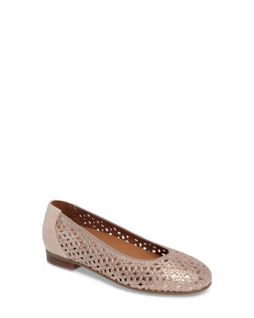 ara Stephanie Perforated Ballet Flat in at