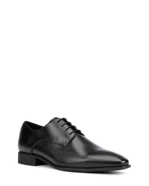 Geox Highlife 11 Plain Toe Derby in at
