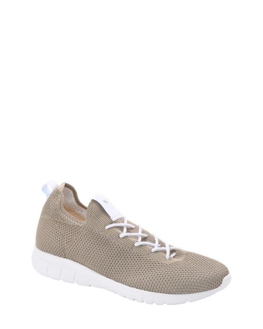 Nisolo Athleisure Knit Sneaker in at