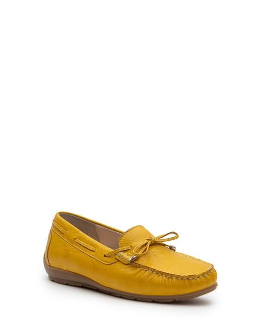 ara Amarillo Leather Driving Moccasin in at