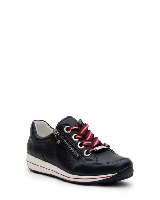 ara Ollie Lace-Up Sneaker in at