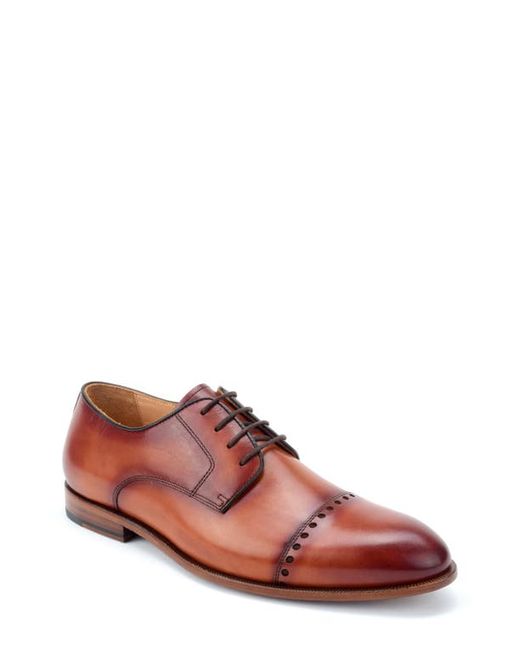 Warfield & Grand Holden Cap Toe Derby in at