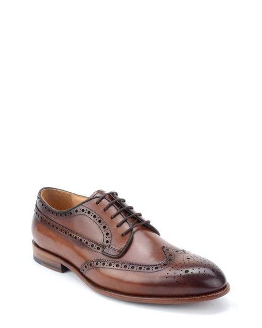 Warfield & Grand Abby Wingtip in at
