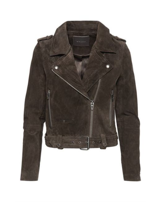 Blank NYC Suede Moto Jacket in at