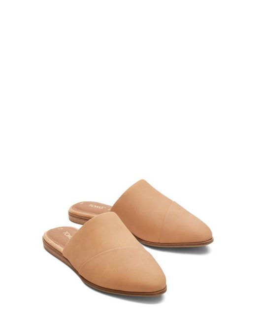 Toms Nat Leather Mule in at