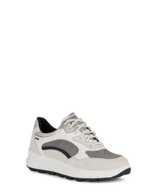 Geox Spherica Waterproof Sneaker in Off White/Dark Grey at