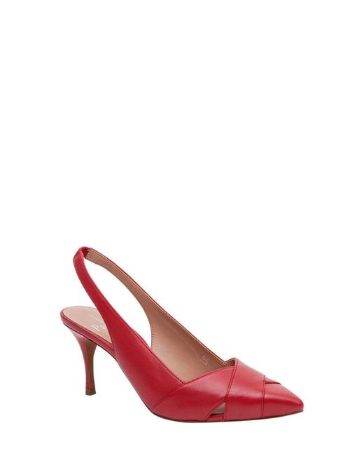 Linea Paolo Nelly Pointed Toe Slingback Pump in at