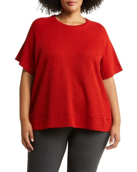 Eileen Fisher Raglan Sleeve Organic Cotton T-Shirt in at