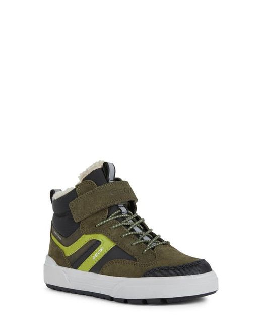 Geox Weemble Sneaker in Dk Lime at
