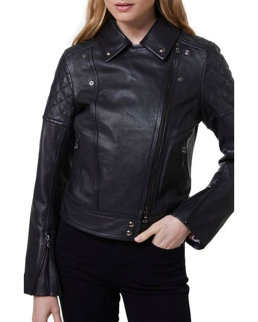 Robert Graham Monroe Quilted Detail Leather Moto Jacket in at