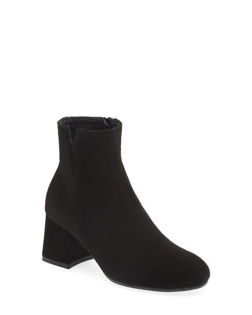 Cordani Nahla Bootie in at
