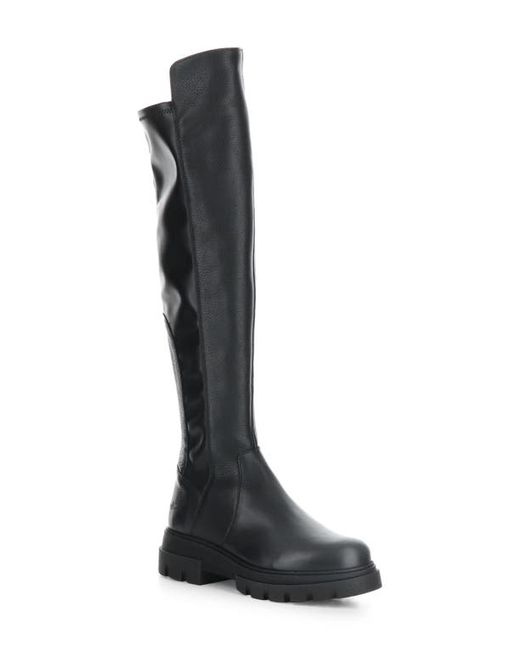 Bos. & Co. Bos. Co. Fifth Waterproof Knee High Boot in Feel/Nappa Stretch at