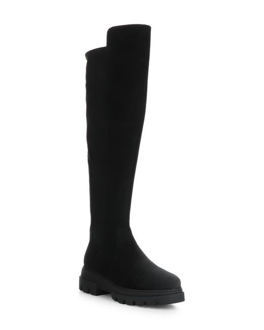 Bos. & Co. Bos. Co. Fifth Waterproof Knee High Boot in Suede/Suede Stretch at