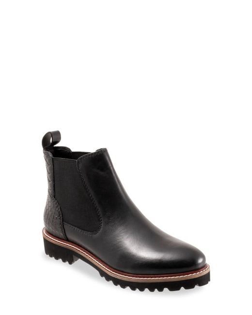 SoftWalk® SoftWalk Indy Chelsea Boot in at