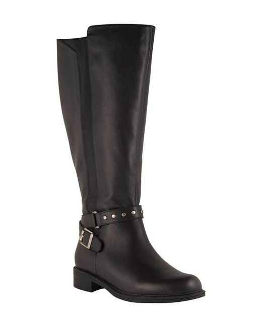 David Tate Kimmy Knee High Boot in at