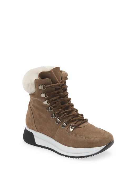 Cordani Layton Genuine Shearling Lined Boot in at