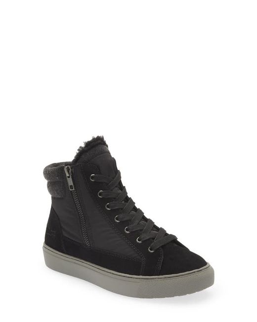 Cougar Dax Waterproof High Top Sneaker with Faux Shearling Trim in at