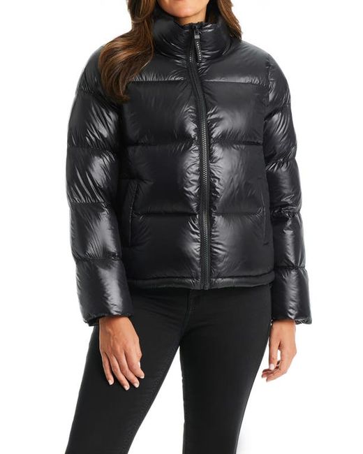 Sanctuary Core Down Puffer Jacket in at