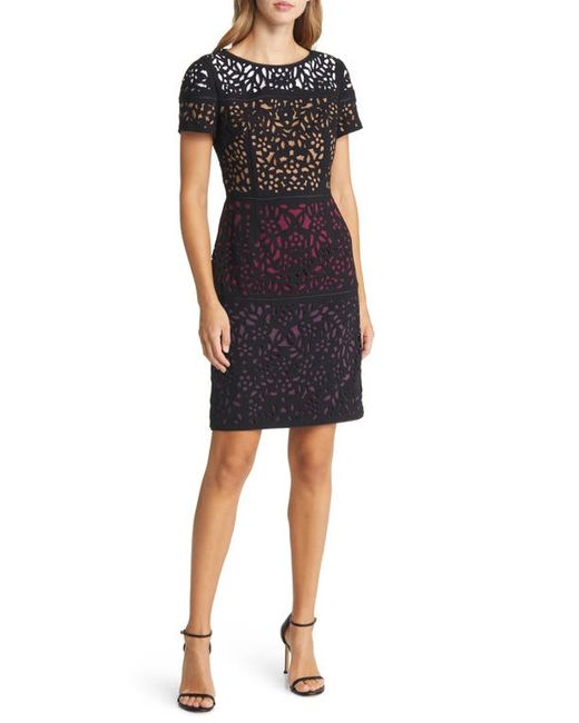 Shani Lace Colorblock Sheath Dress in Berry at