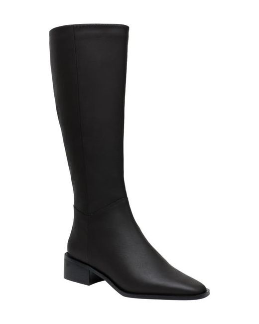Linea Paolo Kyra Tall Boot in at