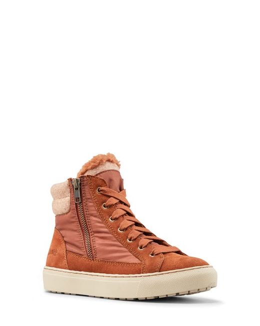 Cougar Dax Waterproof High Top Sneaker with Faux Shearling Trim in at