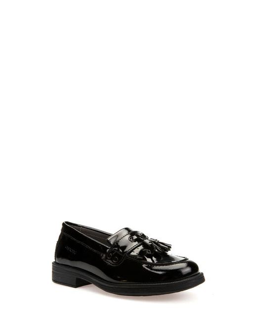 Geox Agata 8 Leather Loafer in at