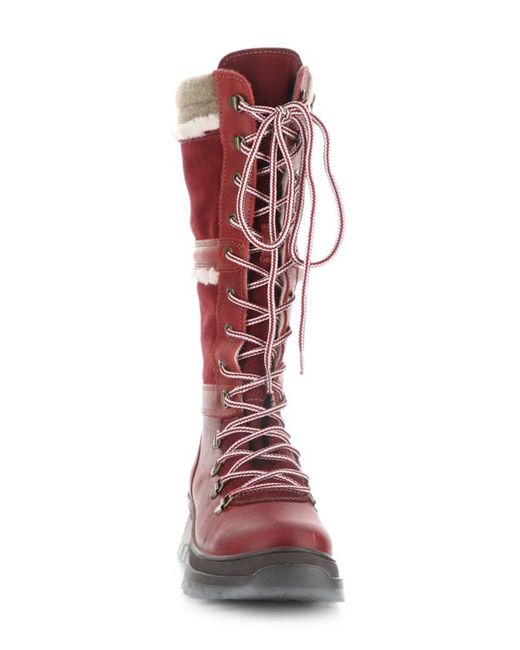Bos. & Co. Bos. Co. Daws Waterproof Winter Boot in Red/Sangria Saddle at