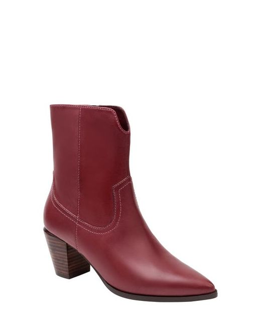 Linea Paolo Wonder Bootie in at