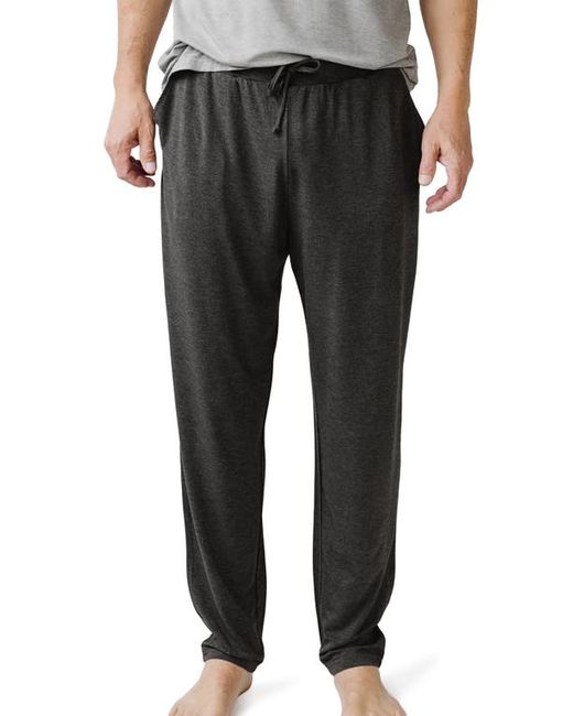 Cozy Earth Tie Waist Stretch Knit Pajama Pants in at