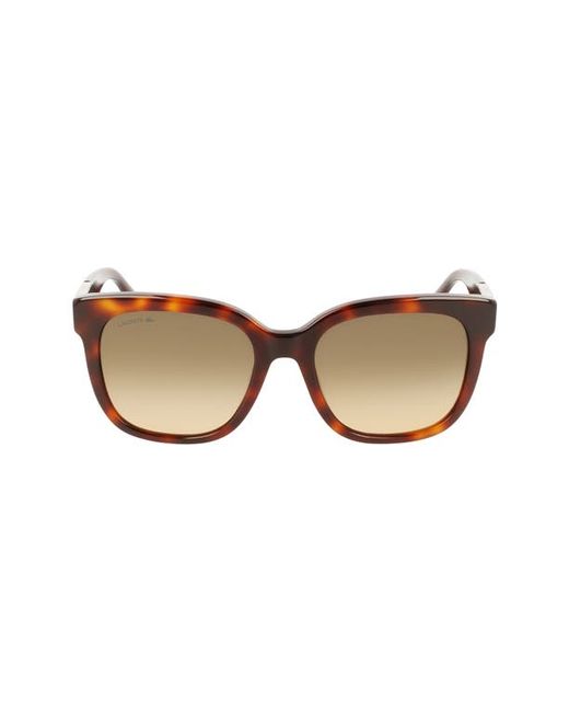 Lacoste 55mm Gradient Rectangular Sunglasses in at
