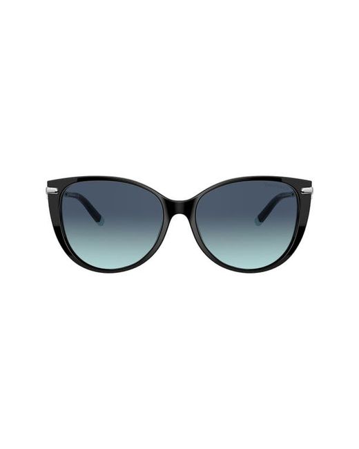 Tiffany & co. . 57mm Gradient Cat Eye Sunglasses in Black/Azure at