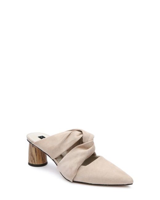 Sanctuary Sunset Pointed Toe Mule in at
