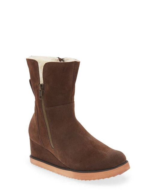 Chocolat Blu Mallory Genuine Shearling Lined Boot in at