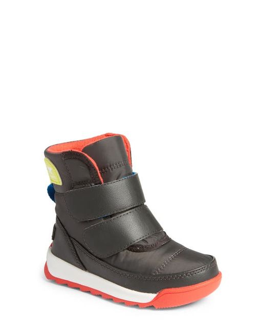 Sorel Whitneytrade II Short Waterproof Insulated Boot in Jet/Poppy at