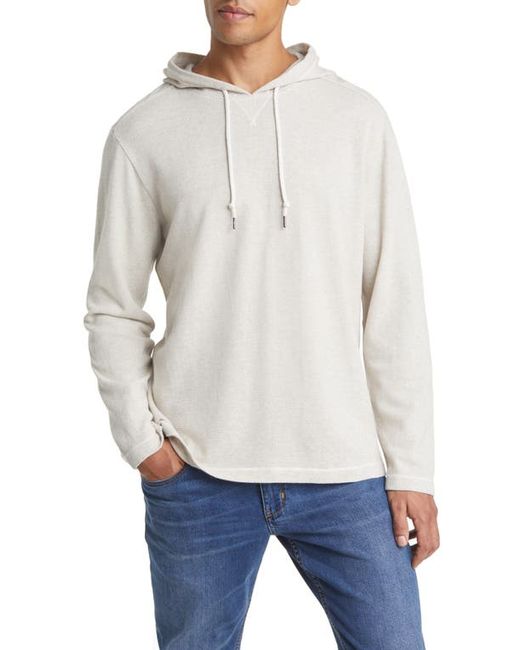Tommy Bahama La Jolla Cotton Hoodie in at